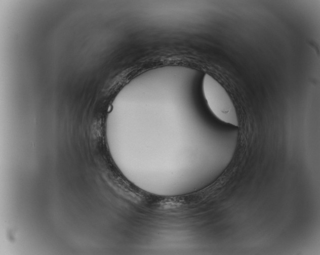 X0000100370756200806060802