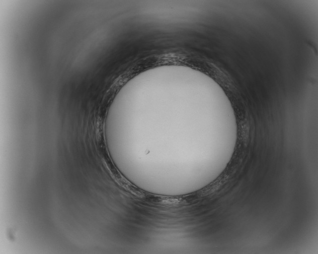 X0000100370757200806060802