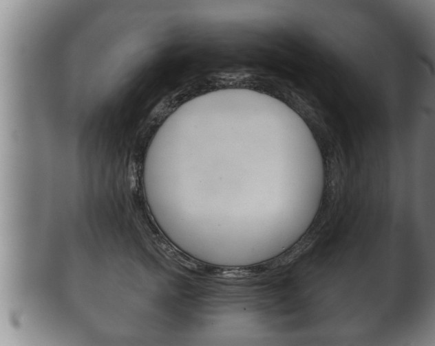 X0000100370758200806060802