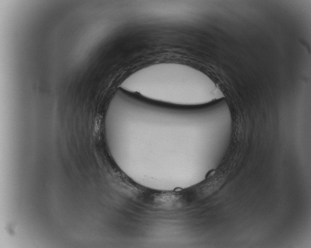 X0000100370759200806060802