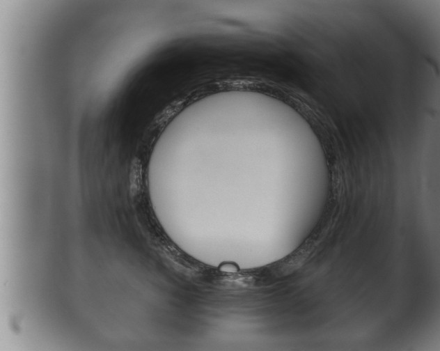 X0000100370760200806060802