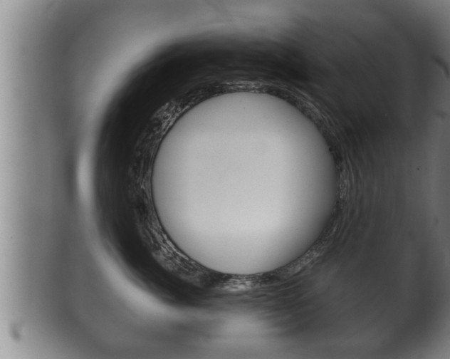 X0000100370764200806060802