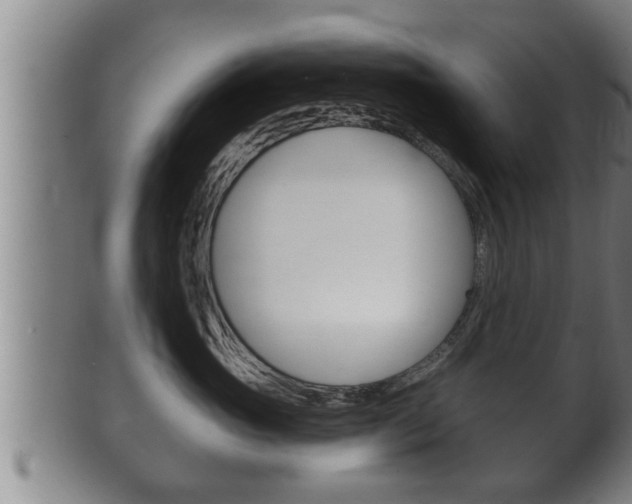 X0000100370765200806060802