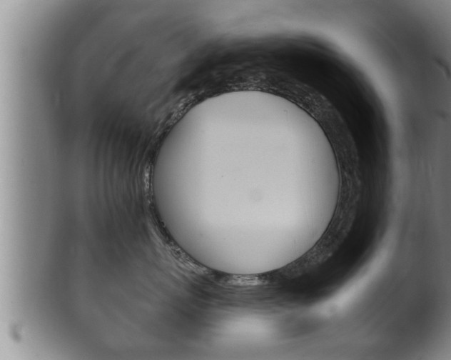 X0000100370767200806060802