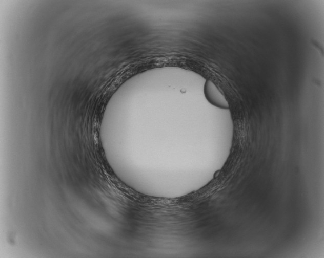 X0000100370770200806060801