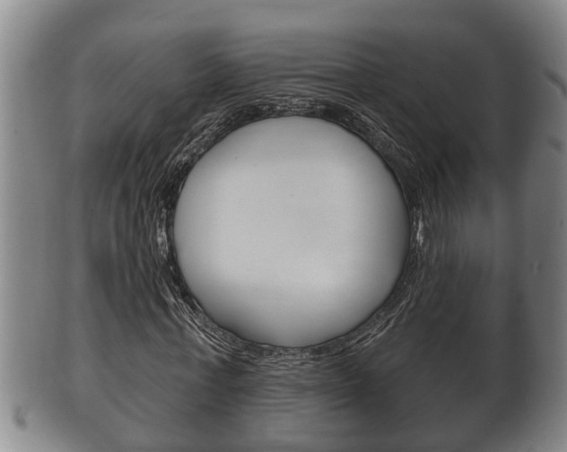 X0000100370771200806060801