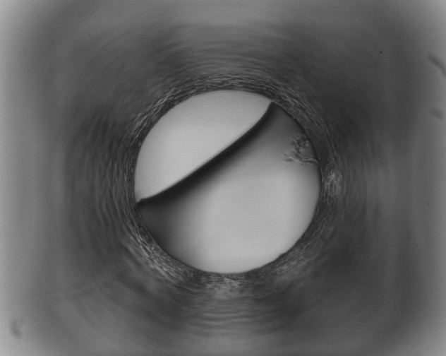 X0000100370772200806060801