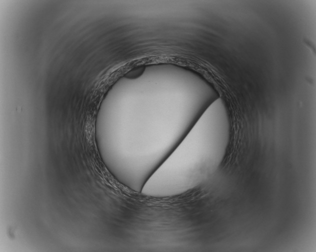 X0000100370773200806060801