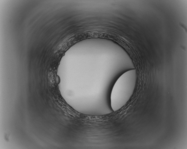 X0000100370774200806060801