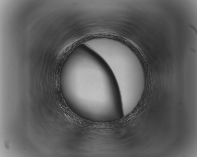 X0000100370775200806060801
