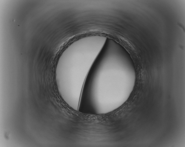 X0000100370776200806060801