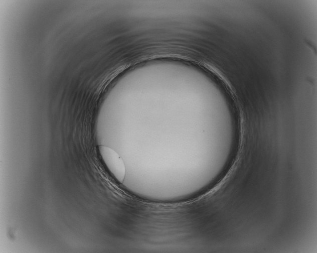X0000100370777200806060801