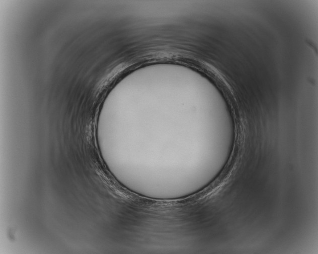 X0000100370778200806060801
