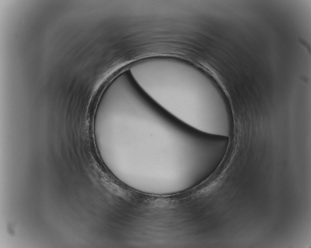 X0000100370779200806060801