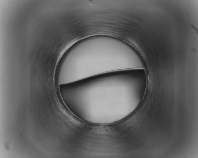 X0000100370780200806060801