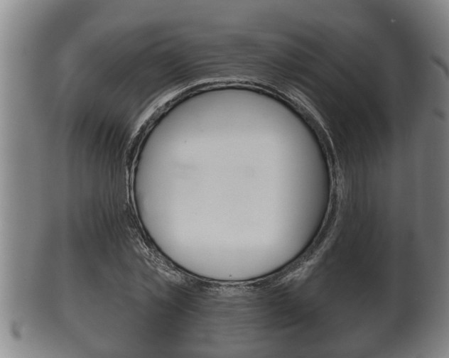 X0000100370781200806060801