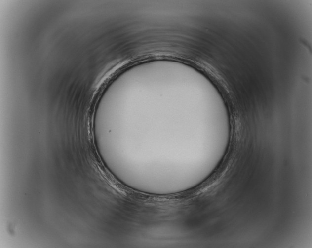 X0000100370782200806060801