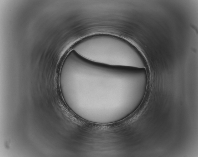 X0000100370783200806060801