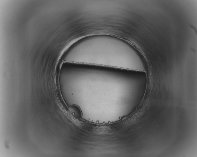 X0000100370784200806060801