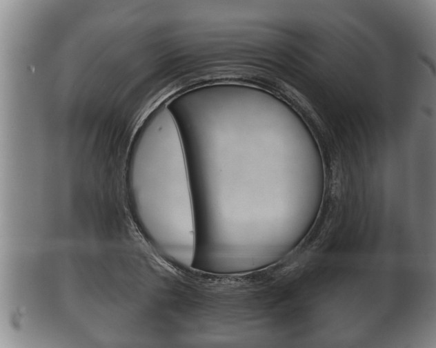 X0000100370786200806060801