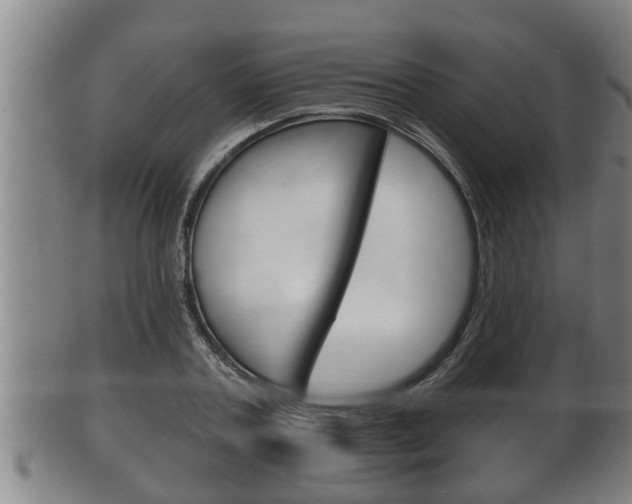 X0000100370787200806060801