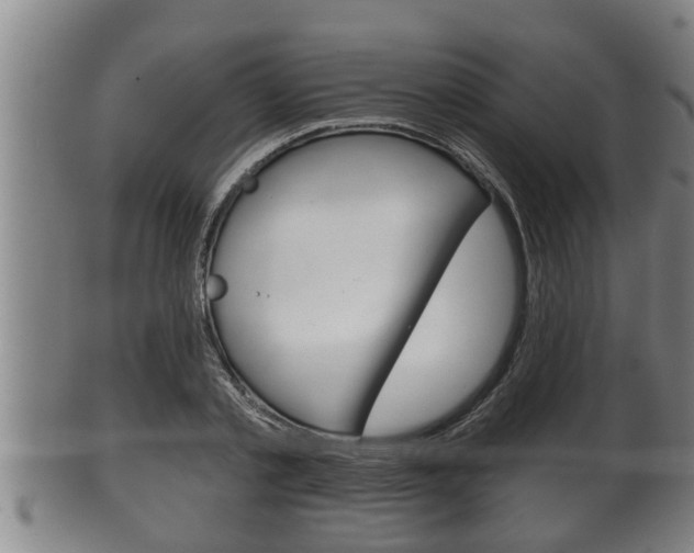 X0000100370789200806060801