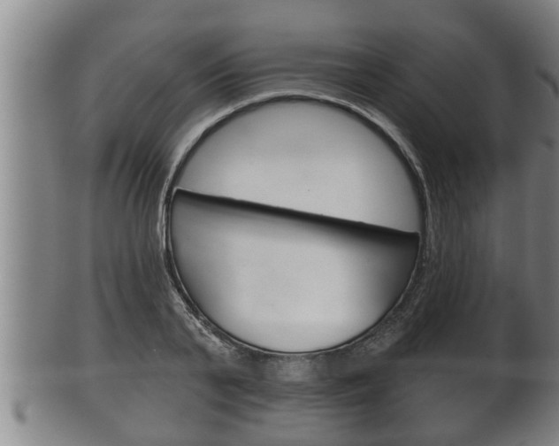 X0000100370791200806060801