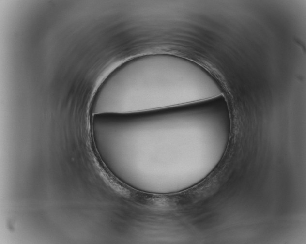 X0000100370792200806060801