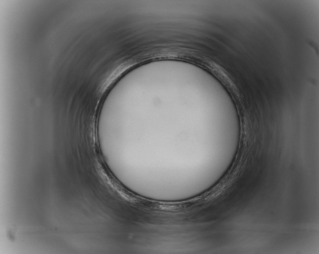 X0000100370794200806060801