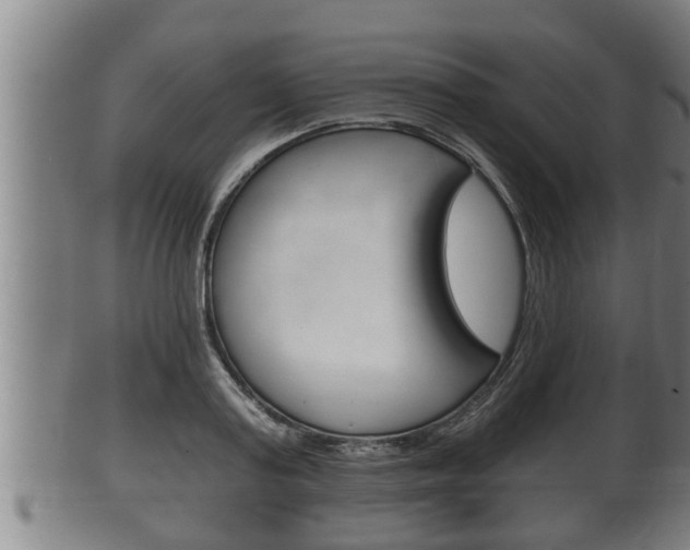 X0000100370795200806060801