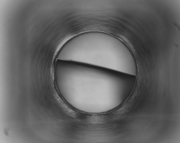 X0000100370796200806060801