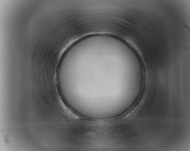 X0000100370797200806060801