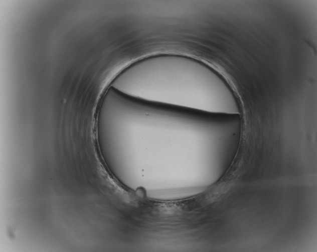 X0000100370799200806060801