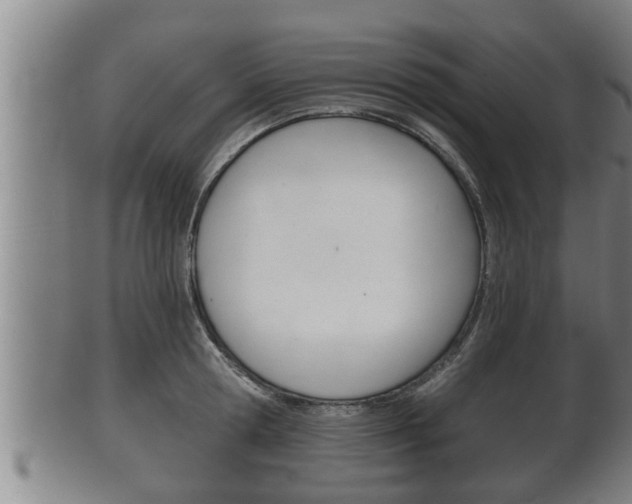 X0000100370802200806060801