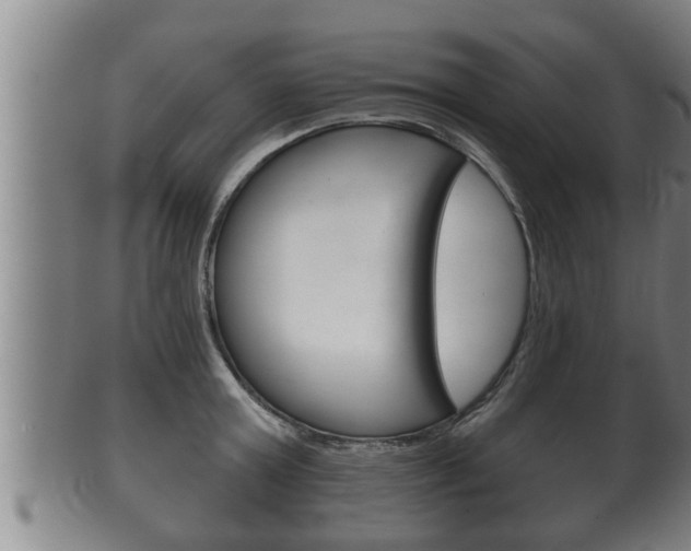 X0000100370803200806060801
