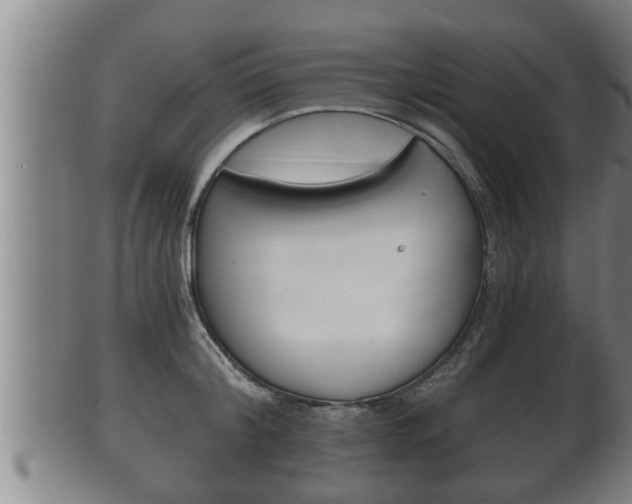 X0000100370804200806060801