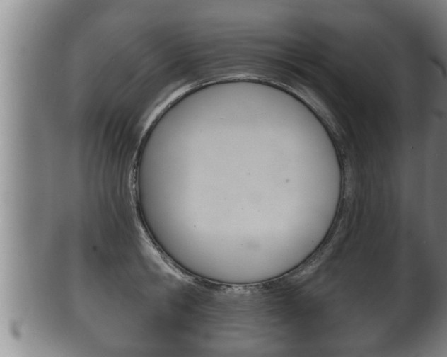 X0000100370806200806060801