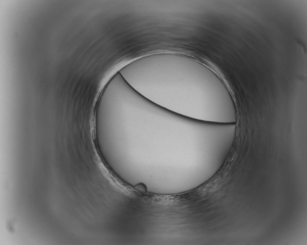 X0000100370811200806060801