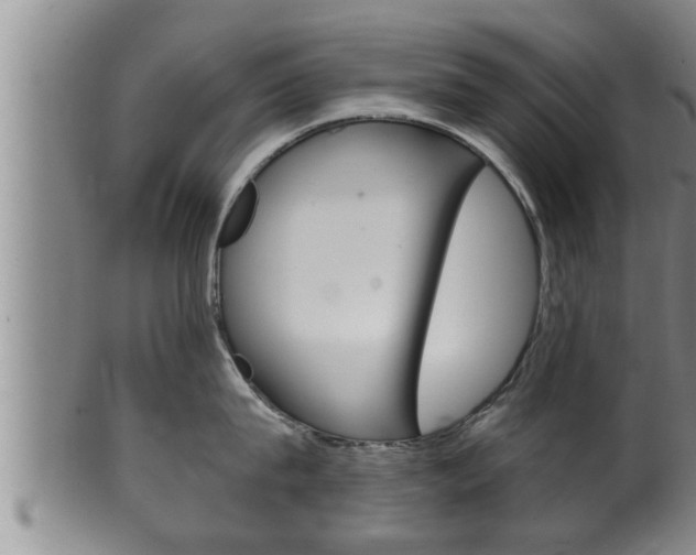 X0000100370815200806060800