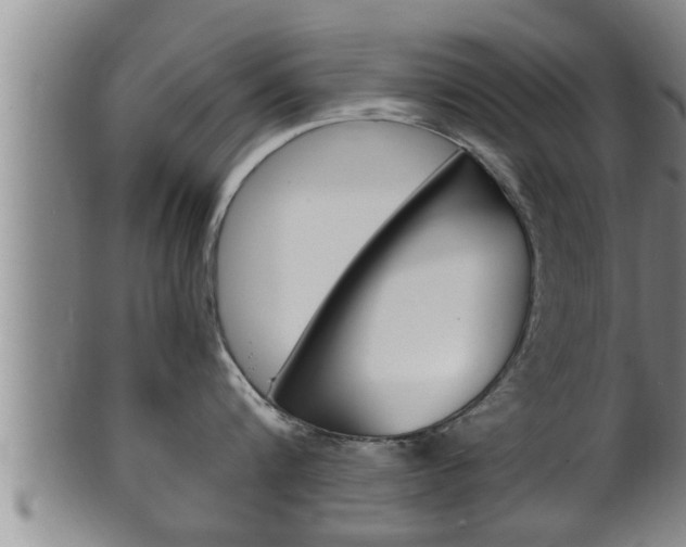 X0000100370816200806060800