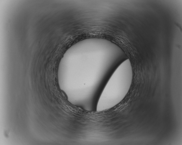 X0000100370817200806060800