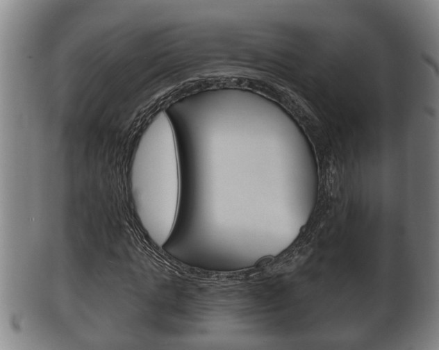 X0000100370821200806060800