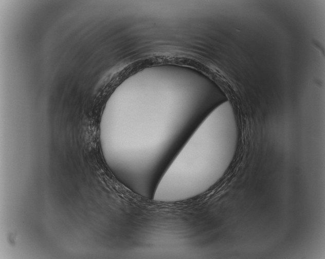 X0000100370822200806060800