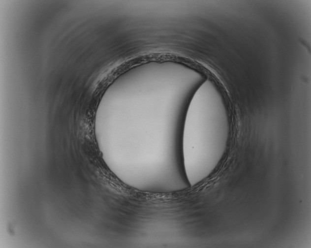 X0000100370823200806060800