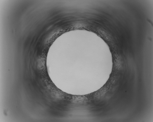 X0000100370824200806060800