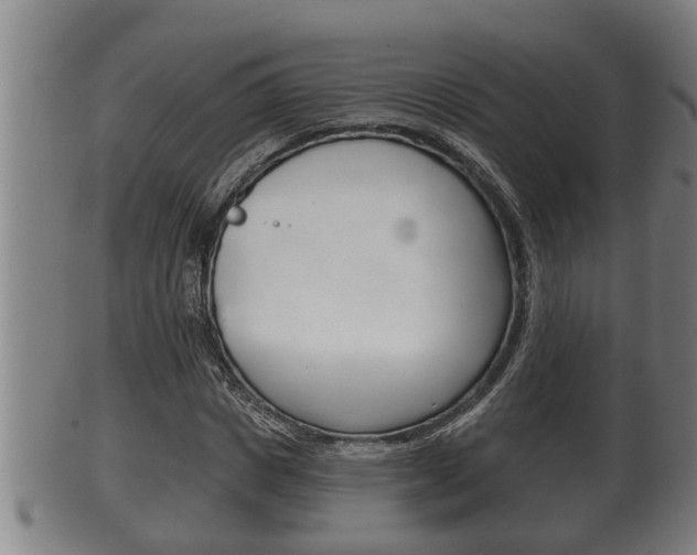 X0000100370825200806060800