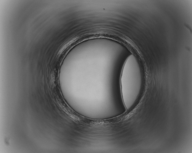 X0000100370826200806060800