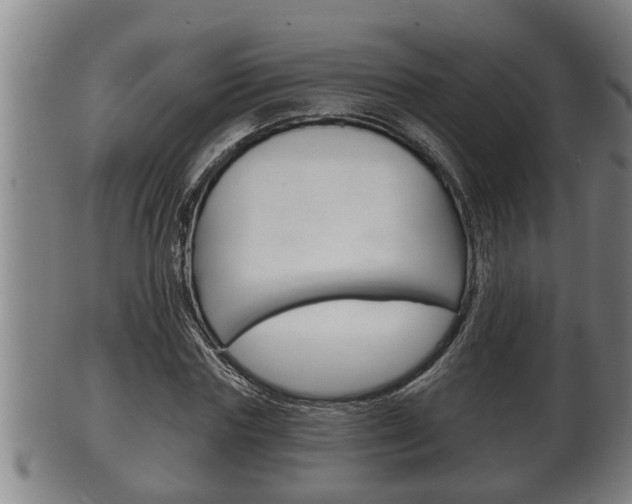X0000100370827200806060800