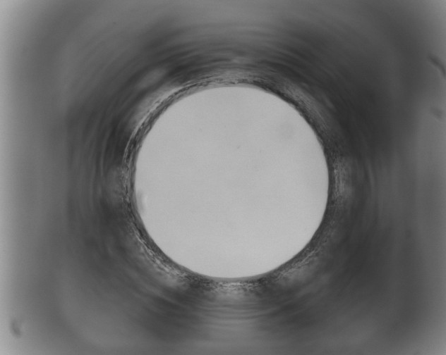 X0000100370828200806060800