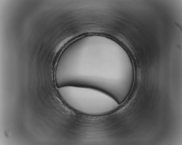 X0000100370829200806060800